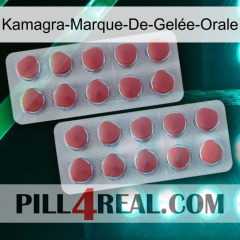 Kamagra-Marque-De-Gelée-Orale 19